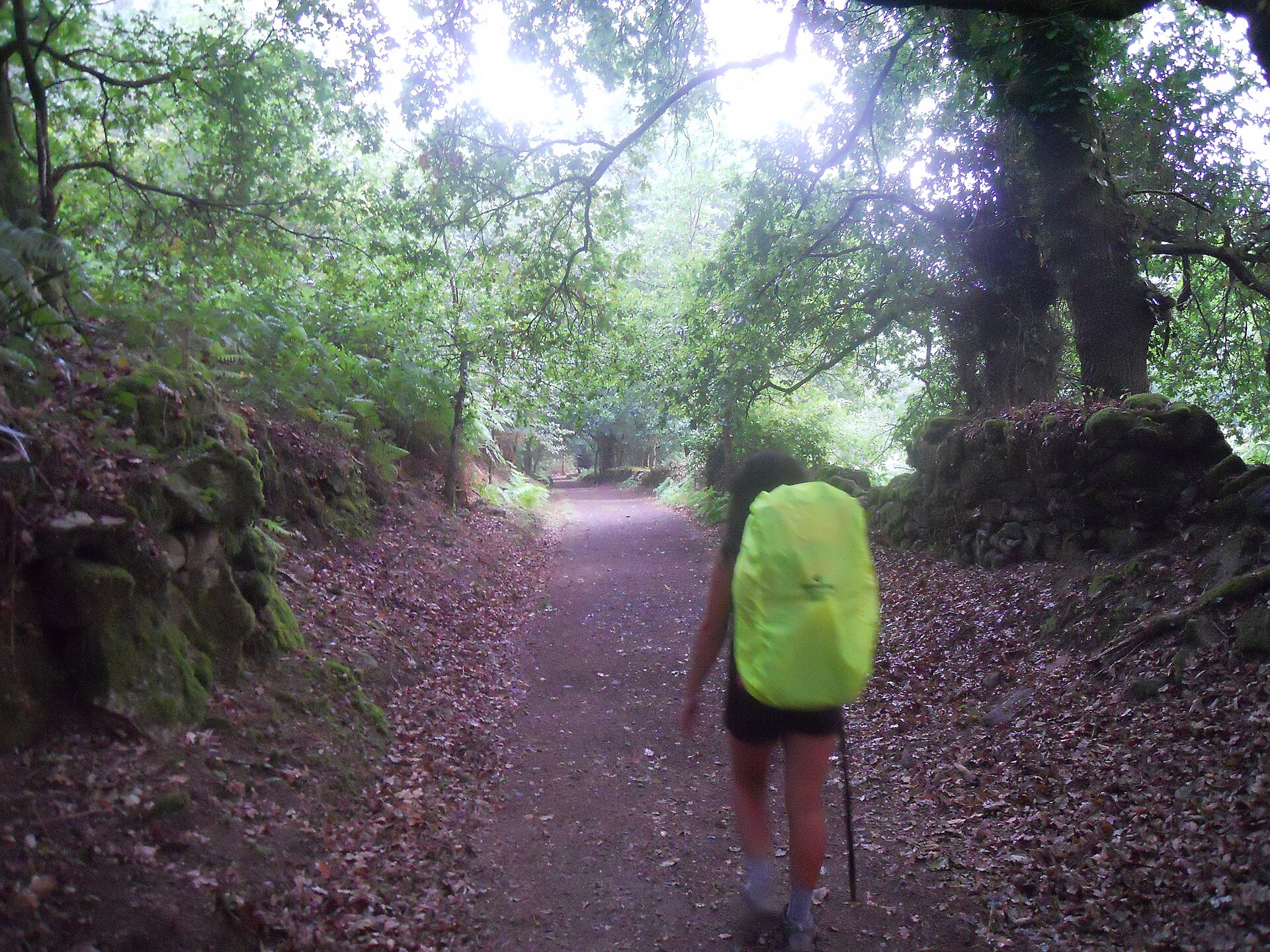 Etapa 9 del Winter Way: A Laxe → Silleda