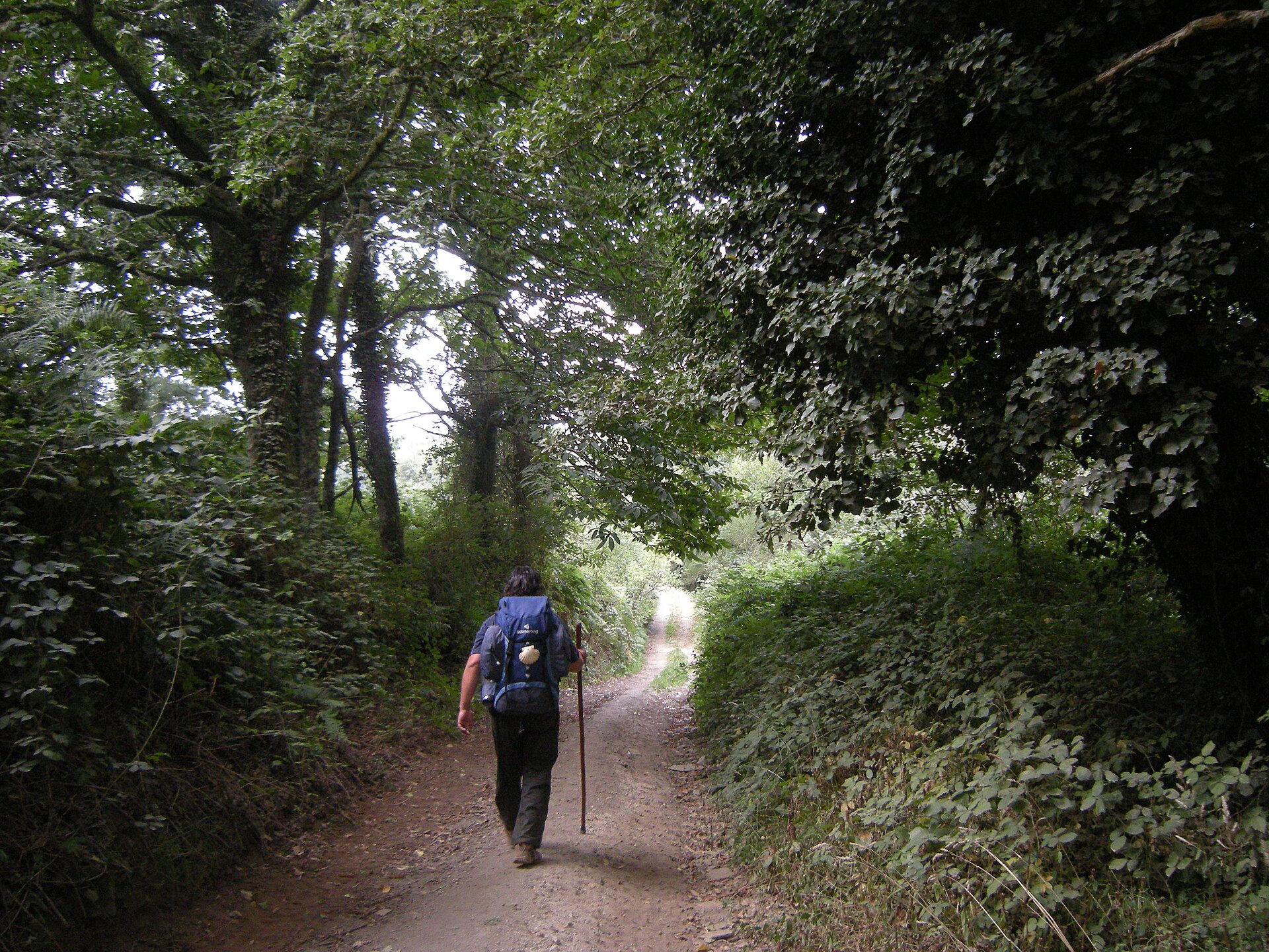 Etapa 30 del Northern Way: Mondoñedo → Abadín