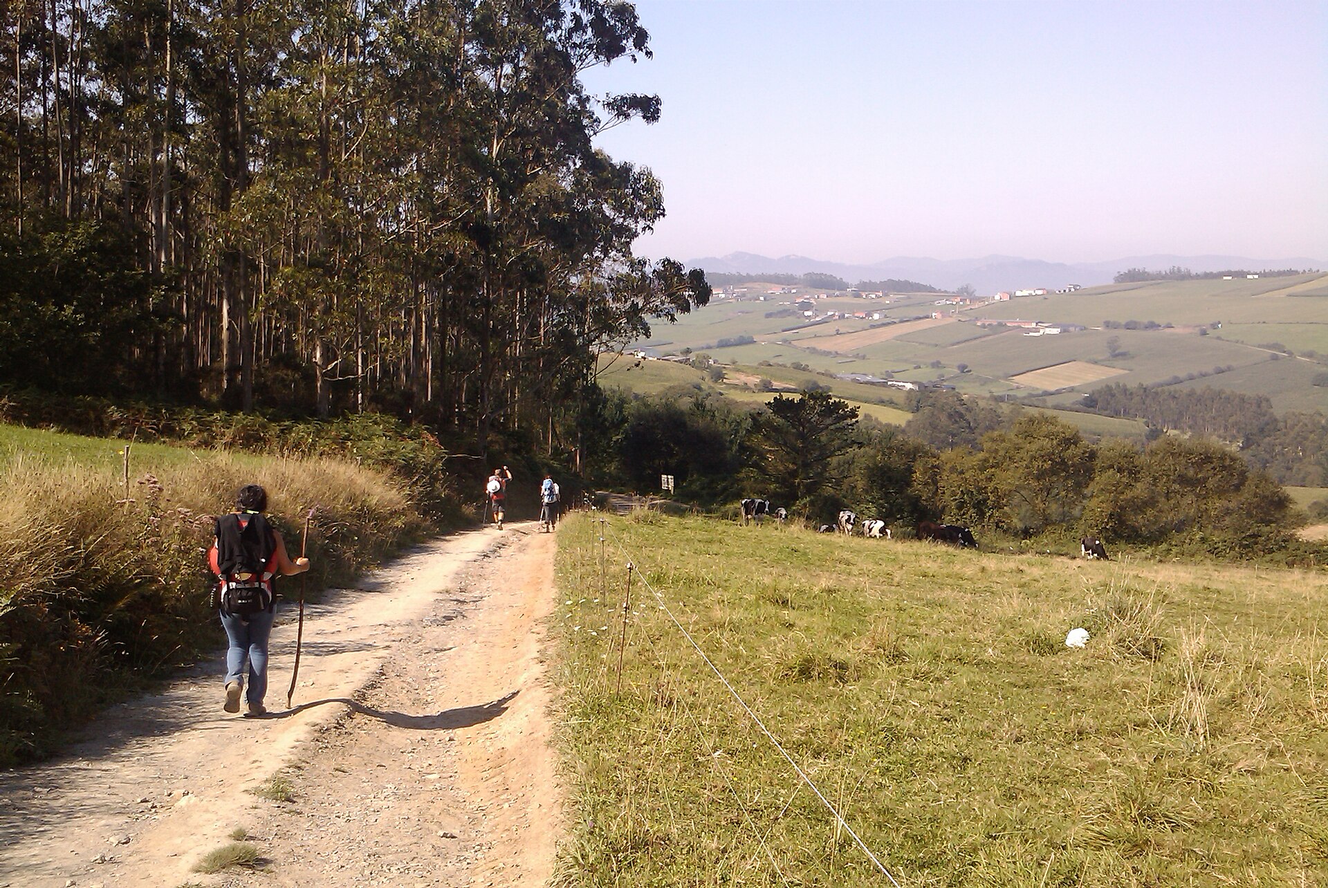 Etapa 28 del Northern Way: Ribadeo → Gondán