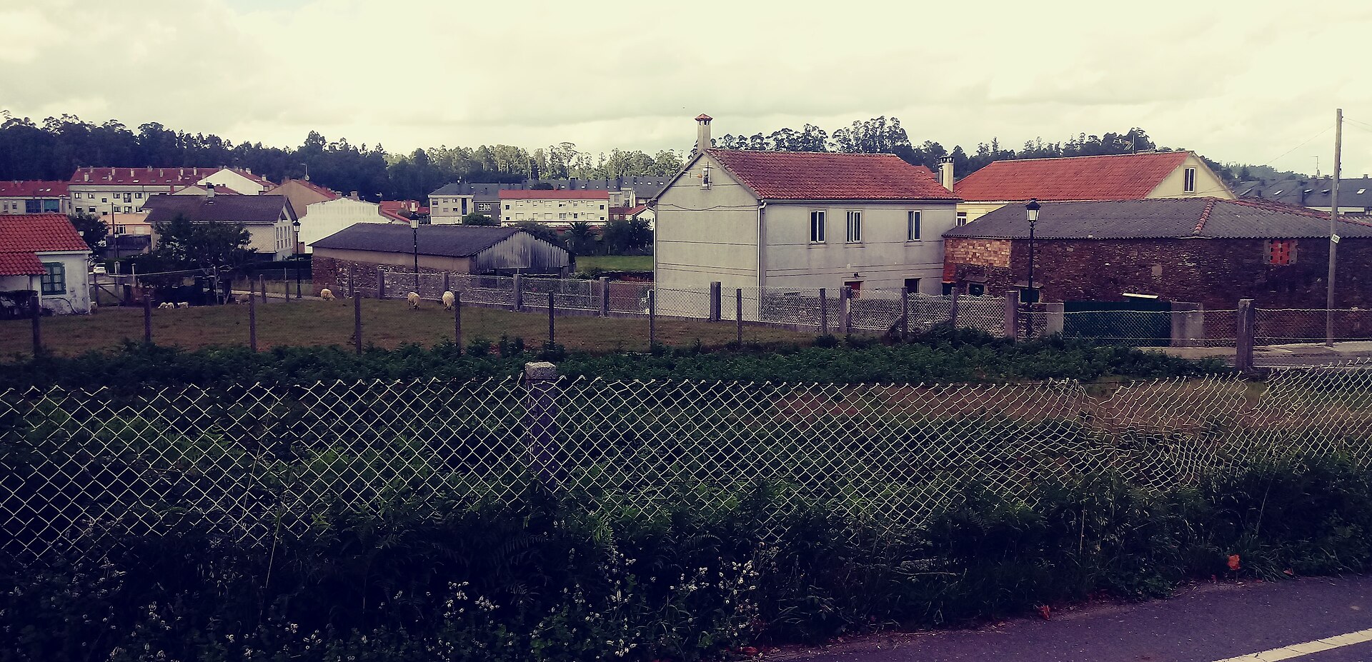 Etapa 32 del French Way: Arzúa → O Pedrouzo