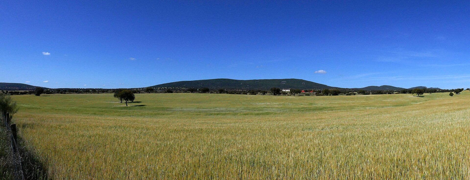 Etapa 9 del Caminho Moçárabe: Córdoba → Cerro Muriano