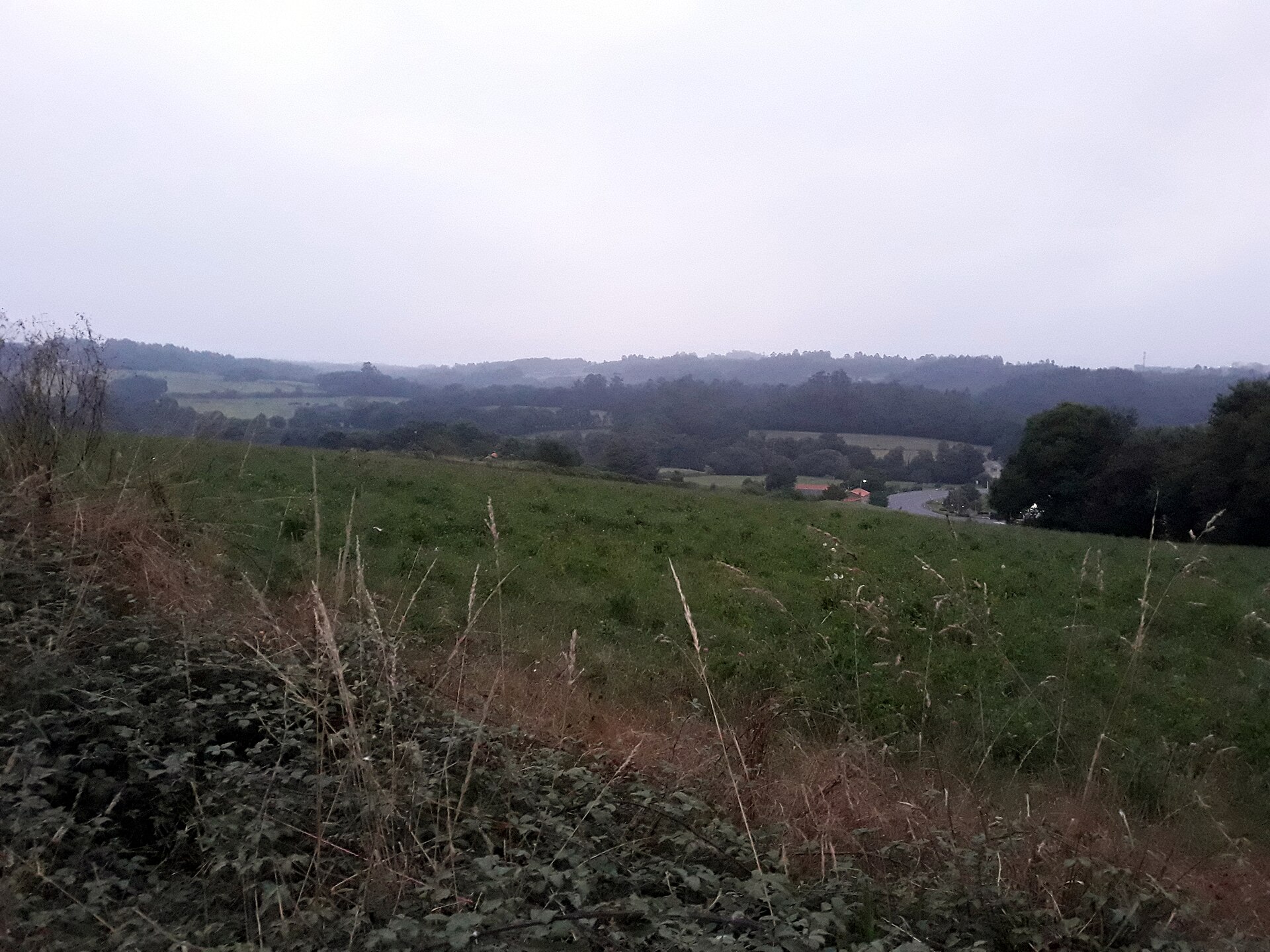 Etapa 12 del Caminho Primitivo: Melide → Arzúa