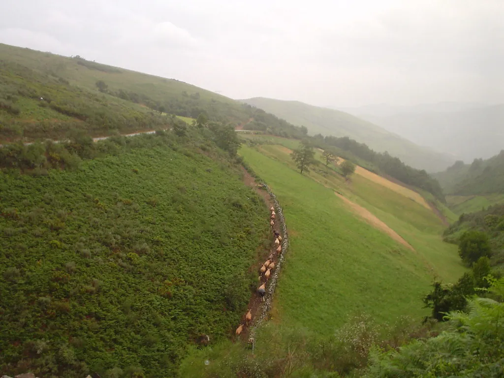Caminho de Santiago no outono: setembro, outubro e novembro