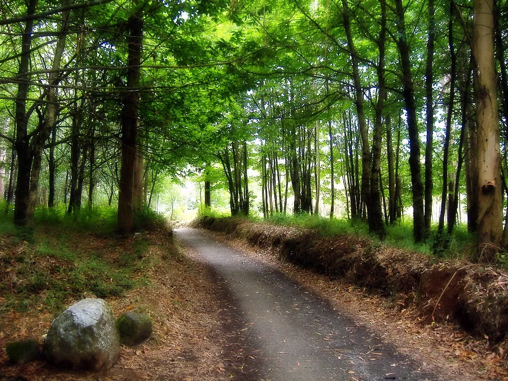 Caminho de Santiago com crianças: etapas ao ritmo da família