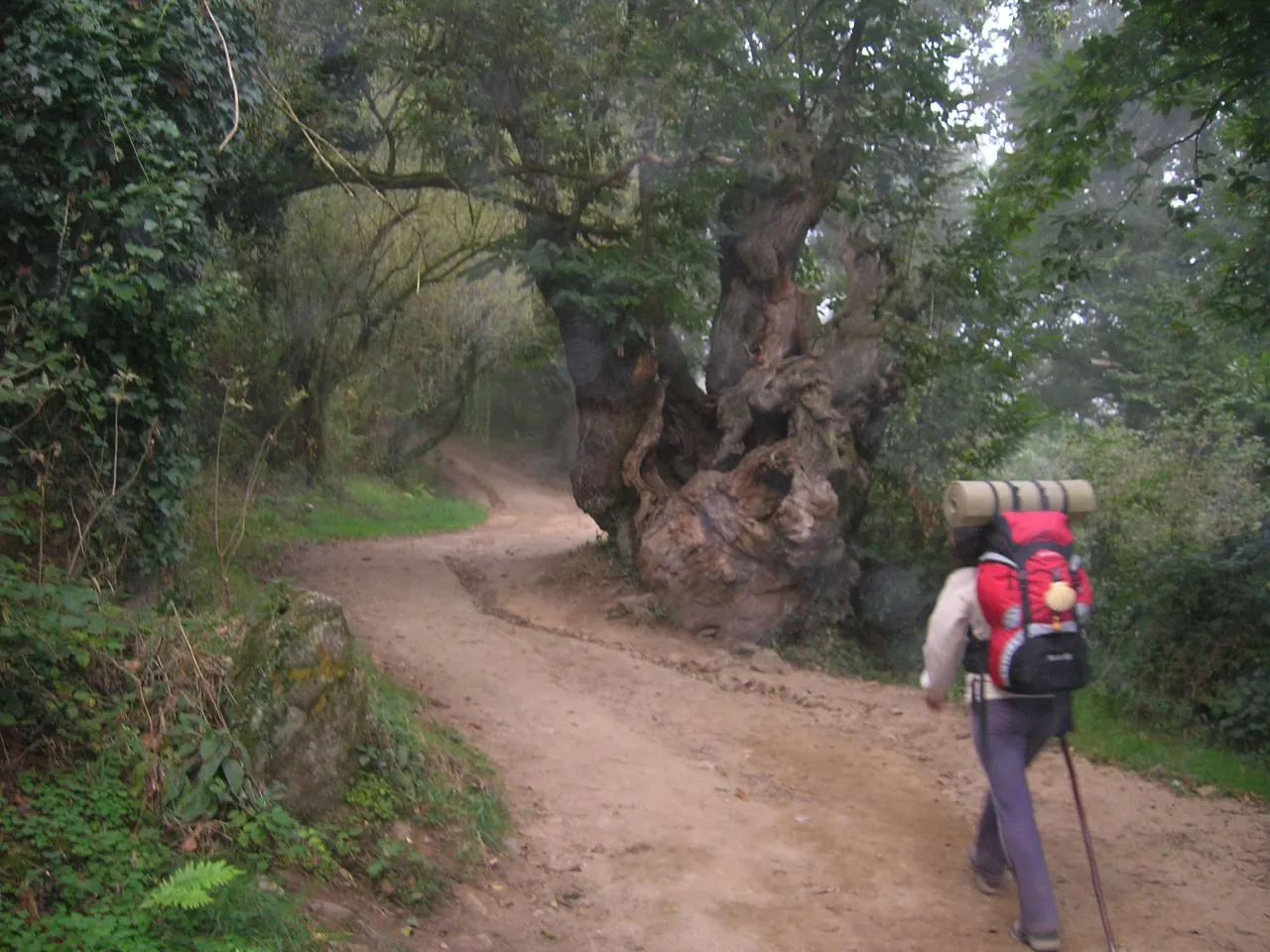 Caminho de Santiago na Páscoa: rotas e reservas