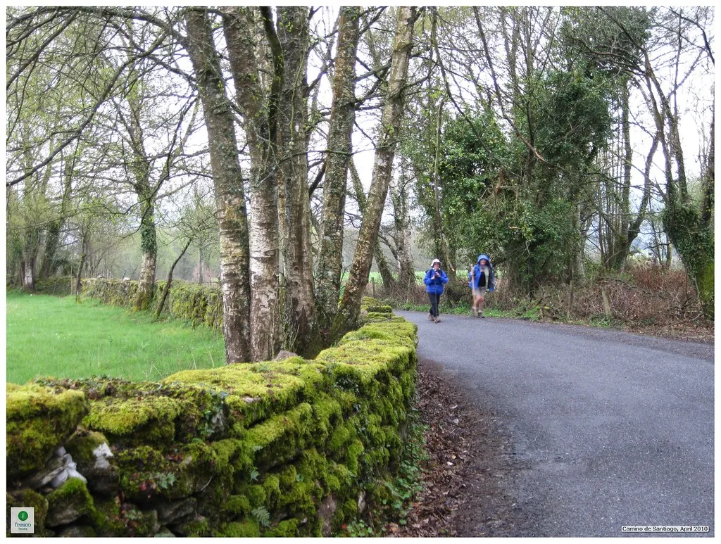 Caminho entre muros de pedra e árvores na Galiza