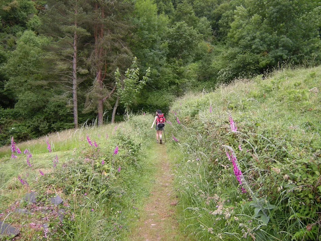 Caminho de Santiago na primavera: rotas e tempo