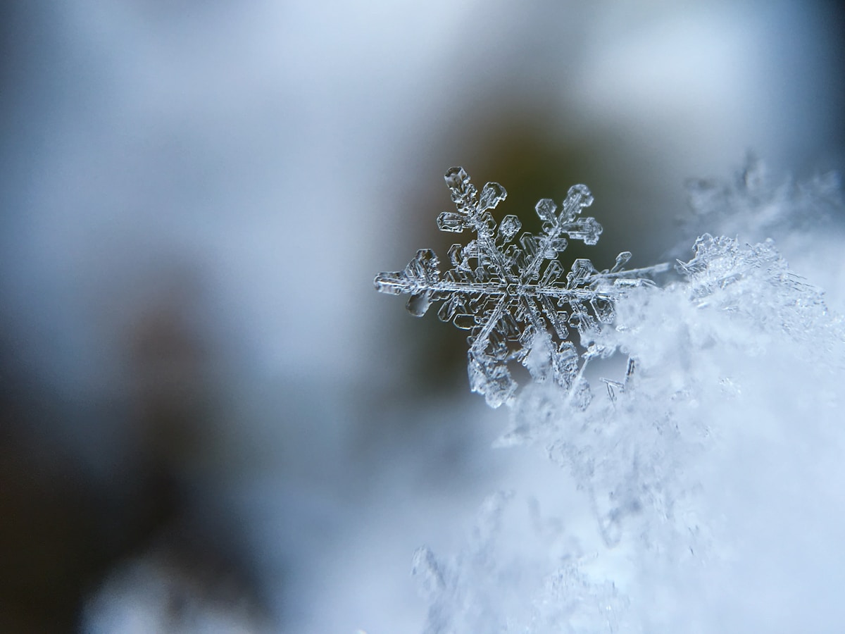 El Camino de Santiago en Invierno: Qué Esperar y Cómo Prepararte