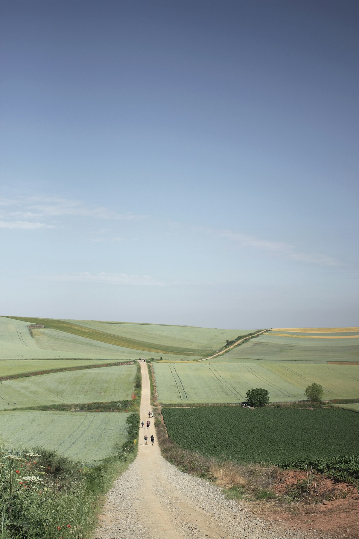 Cabecera de la ruta Camino Francés del Camino de Santiago